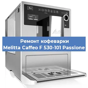 Замена прокладок на кофемашине Melitta Caffeo F 530-101 Passione в Ижевске